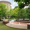 courtyard with stairs and trees