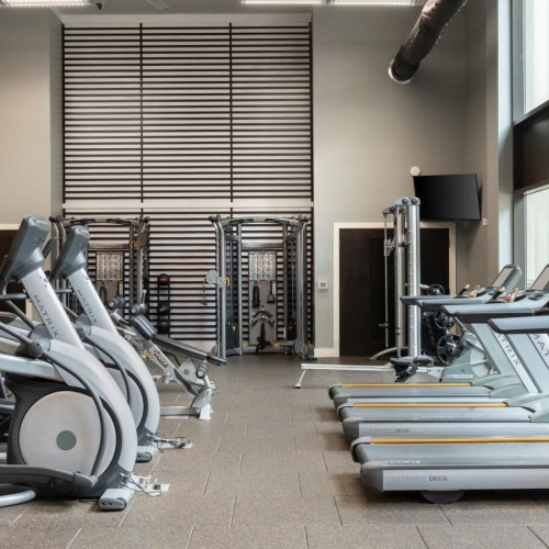 Get your workout on a gym with exercise equipment